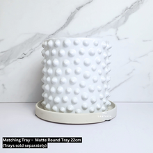 Load image into Gallery viewer, The Leaferie Ostaria white spike flowerpot. ceramic material