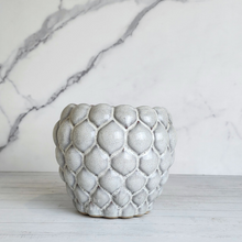 Load image into Gallery viewer, The Leaferie Nani ceramic pot. 2 colours. grey and green. front view of pot A