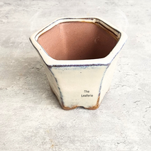 Load image into Gallery viewer, The Leaferie Petit Bonsai pots 76.. Hexagon shape a=with 4 colours.