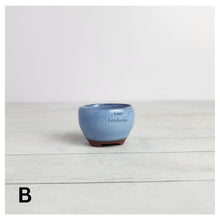 Load image into Gallery viewer, Petit Bonsai Pot (Series 8)
