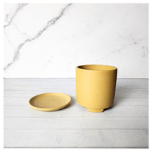 Load image into Gallery viewer, Noemie Mini Flowerpot (Series 1)