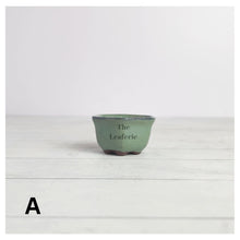 Load image into Gallery viewer, Petit Bonsai Pot (Series 16) Hexagon shape