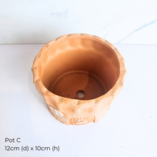 Load image into Gallery viewer, The Leaferie AS-IS Jan 25 . 9 new flowerpots