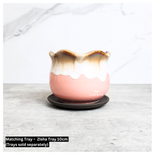 Load image into Gallery viewer, Petit Allegra Flowerpots (Series 3) Pink Pots