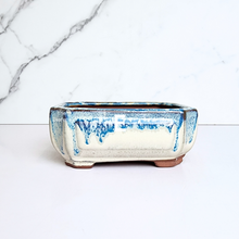 Load image into Gallery viewer, The Leaferie Bonsai Series 55 rectangular bonsai pots. ceramic material 6 colours