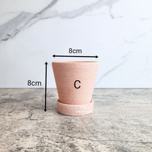 Load image into Gallery viewer, The Leaferie Yael terracotta pot with tray. 3 sizes