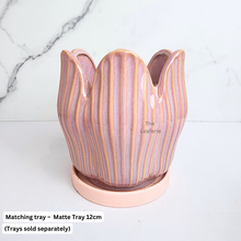 Load image into Gallery viewer, The Leaferie Castillo ceramic pot. 2 colours pink and white.