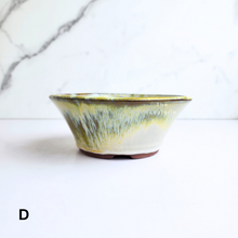 Load image into Gallery viewer, Bonsai Flowerpot (Series 51) 8 colours