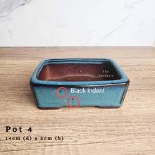 Load image into Gallery viewer, As-Is Pots Batch November 2023 (13 items)