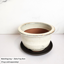 Load image into Gallery viewer, Petit Bonsai Flowerpot (Series 21)