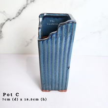 Load image into Gallery viewer, The Leaferie AS-IS october 24. 8 items