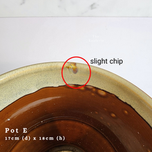 Load image into Gallery viewer, The Leaferie As-is July 2024. 12 designs