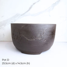 Load image into Gallery viewer, The Leaferie As-Is May 25 (9items). Defective flowerpot