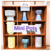 Load image into Gallery viewer, Mini Flowerpots (Series 5)