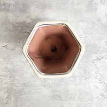 Load image into Gallery viewer, The Leaferie Petit Bonsai pots 76.. Hexagon shape a=with 4 colours.