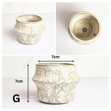 Load image into Gallery viewer, Petit Flowerpots (Series 11)