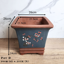 Load image into Gallery viewer, The Leaferie As-is Sale March 24. Pot D