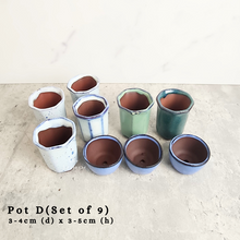 Load image into Gallery viewer, the Leaferie As-is september 2024. 12 pot