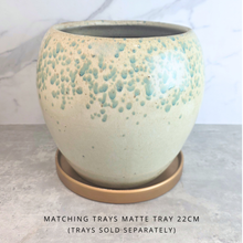 Load image into Gallery viewer, Avenelle Big Flowerpot
