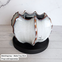 Load image into Gallery viewer, The Leaferie Colbert ceramic flowerpot . 2 colours