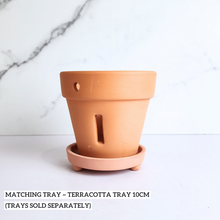 Load image into Gallery viewer, The Leaferie Yui Terracotta pot with holes . suitable for orchid.