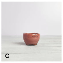 Load image into Gallery viewer, Petit Bonsai Pot (Series 8)