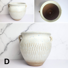 Load image into Gallery viewer, The Leaferie Anya Big pot ($ designs ceramic material