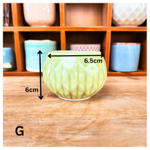 Load image into Gallery viewer, Petit Flowerpots (Series 6)
