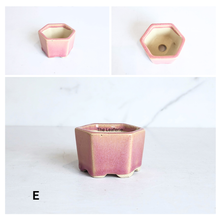 Load image into Gallery viewer, The Leaferie Bonsai pot series 81. hexagon ceramic pot. 5 colours