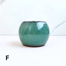 Load image into Gallery viewer, Petit Bonsai (Series 45)