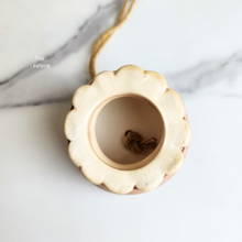 Load image into Gallery viewer, The Leaferie Tilly airplant holder. 4 colours.