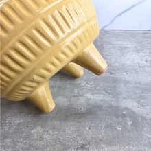 Load image into Gallery viewer, The Leaferie Adira Flowerpot. yellow ceramic pot with legs.