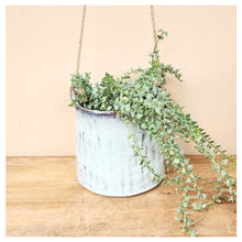 Load image into Gallery viewer, Lyon Hanging Flowerpot (Series 11)