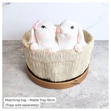 Load image into Gallery viewer, The Leaferie Hoppi Rabbit bunny pot. resin material.