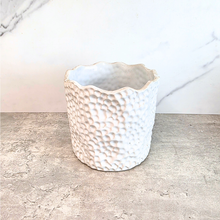 Load image into Gallery viewer, Zacharie Flowerpot