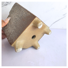 Load image into Gallery viewer, Bastion Rectangular Ceramic planter with textured surface on a white background, featuring the brand 'LEAFERIE'.