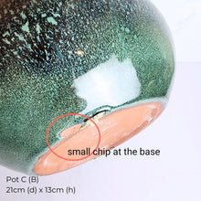 Load image into Gallery viewer, The Leaferie As-is Pot June 2025. 9 items