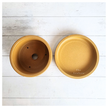 Load image into Gallery viewer, Noemie Mini Flowerpot (Series 2)