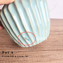 Load image into Gallery viewer, The Leaferie AS-IS Pots December 23. Pot 4