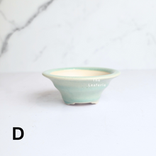 Load image into Gallery viewer, Petit Bonsai Flowerpot (Series 48)