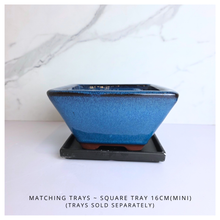 Load image into Gallery viewer, Leaferie Bonsai series 85 ceramic bonsai pots with 'LEAFERIE' branding and 'bonsai 85' text.