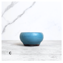 Load image into Gallery viewer, Bonsai Flowerpot (Series 25)