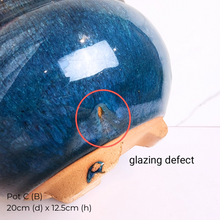 Load image into Gallery viewer, The Leaferie As-is March 25 . 9 items