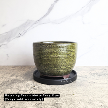 Load image into Gallery viewer, The Leaferie Pagona Pot. ceramic flowerpot with 2 designs