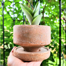Load image into Gallery viewer, Pascale Flowerpot (2 sizes)