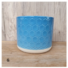 Load image into Gallery viewer, Cossette Mini Flowerpot (13 designs)