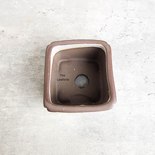 Load image into Gallery viewer, The Leaferie Petit Bonsai Series 77 (4 colours) square ceramic material