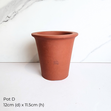 Load image into Gallery viewer, The Leaferie As-Is Feb 2025. 9 pieces items