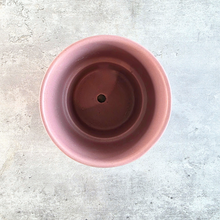 Load image into Gallery viewer, Blush Flowerpot