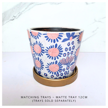 Load image into Gallery viewer, Aomi planters with 'LEAFERIE' branding on a white background